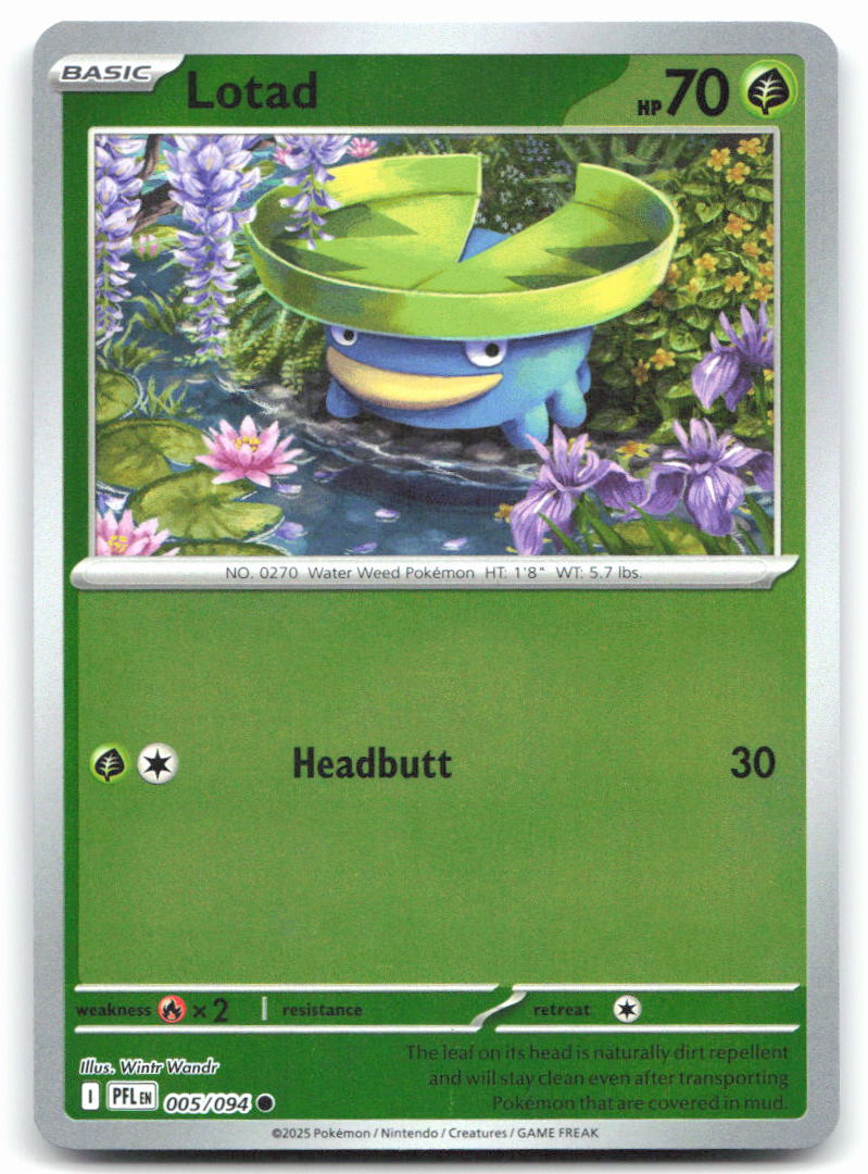 Lotad