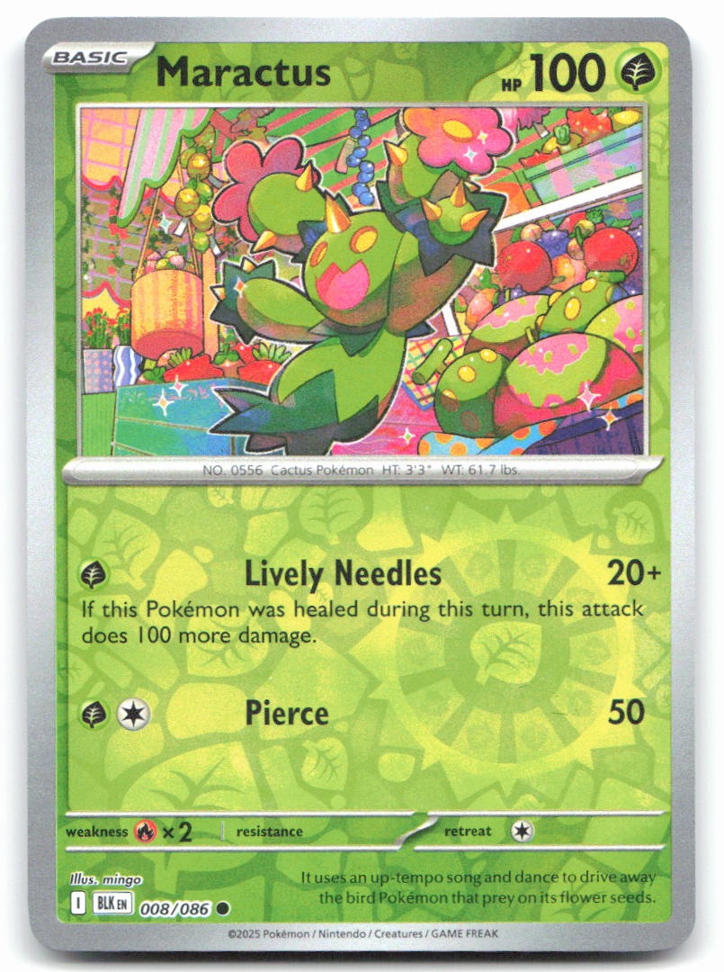 Maractus